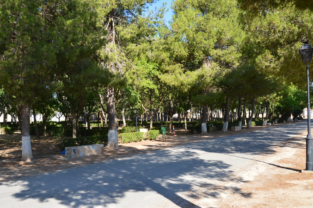Paseo del cementerio de Albacete