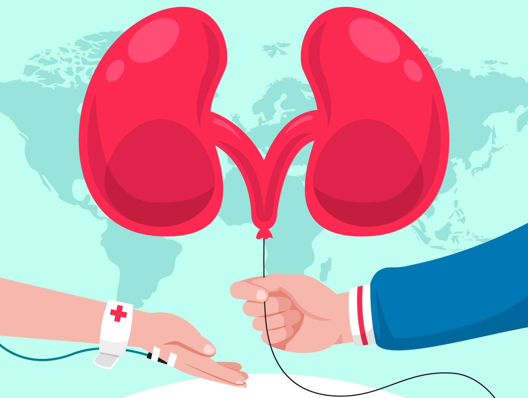 Donación de riñones en España 