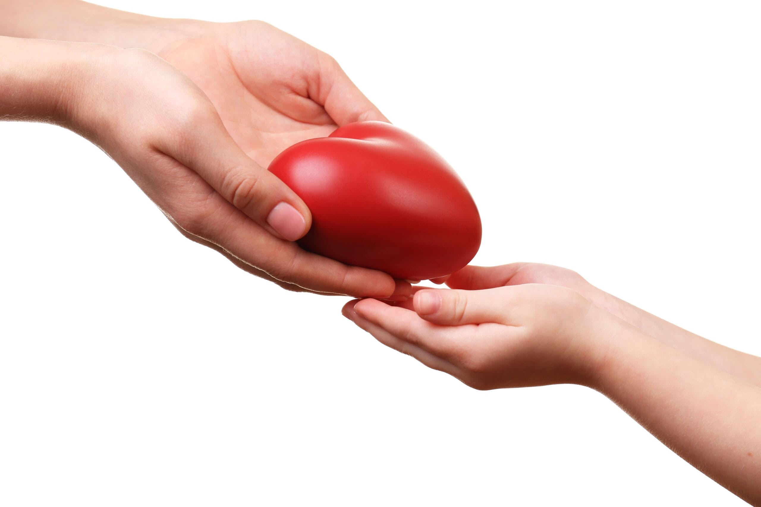 Ser donante de órganos en España